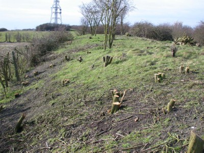 Over Railway Cutting - Vince Lea